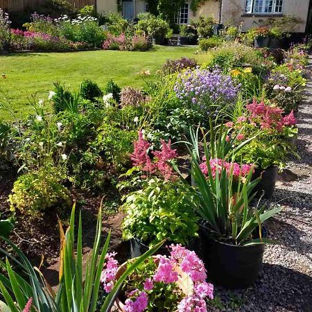 Brambles Bed And Breakfast Tiverton  Esterno foto