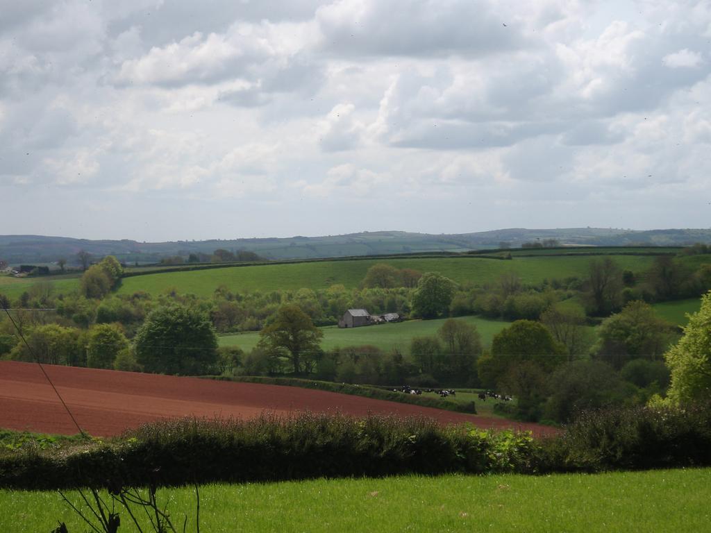 Brambles Bed And Breakfast Tiverton  Esterno foto
