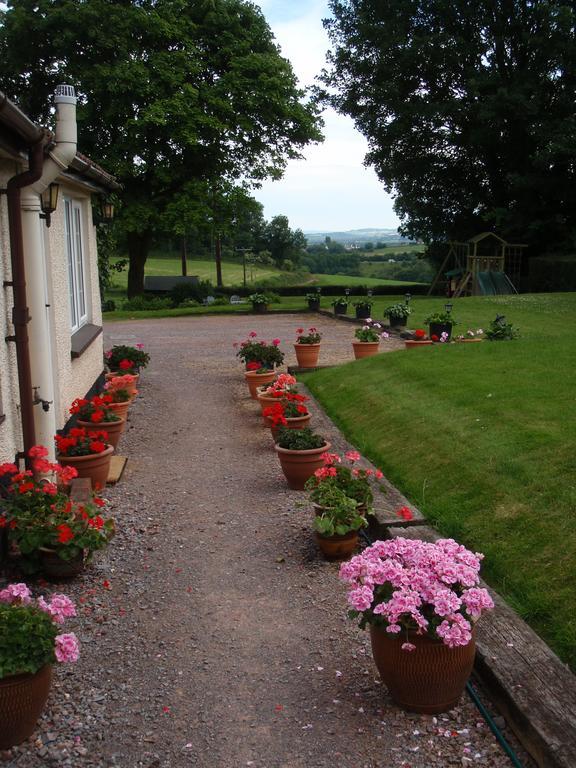 Brambles Bed And Breakfast Tiverton  Camera foto