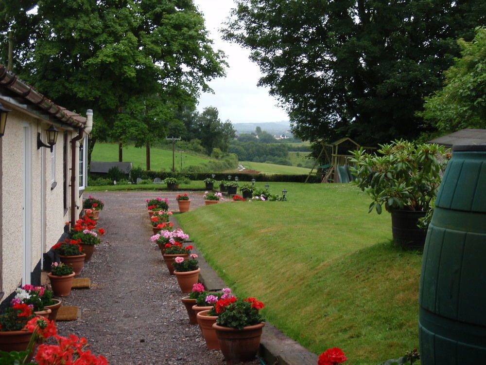 Brambles Bed And Breakfast Tiverton  Esterno foto
