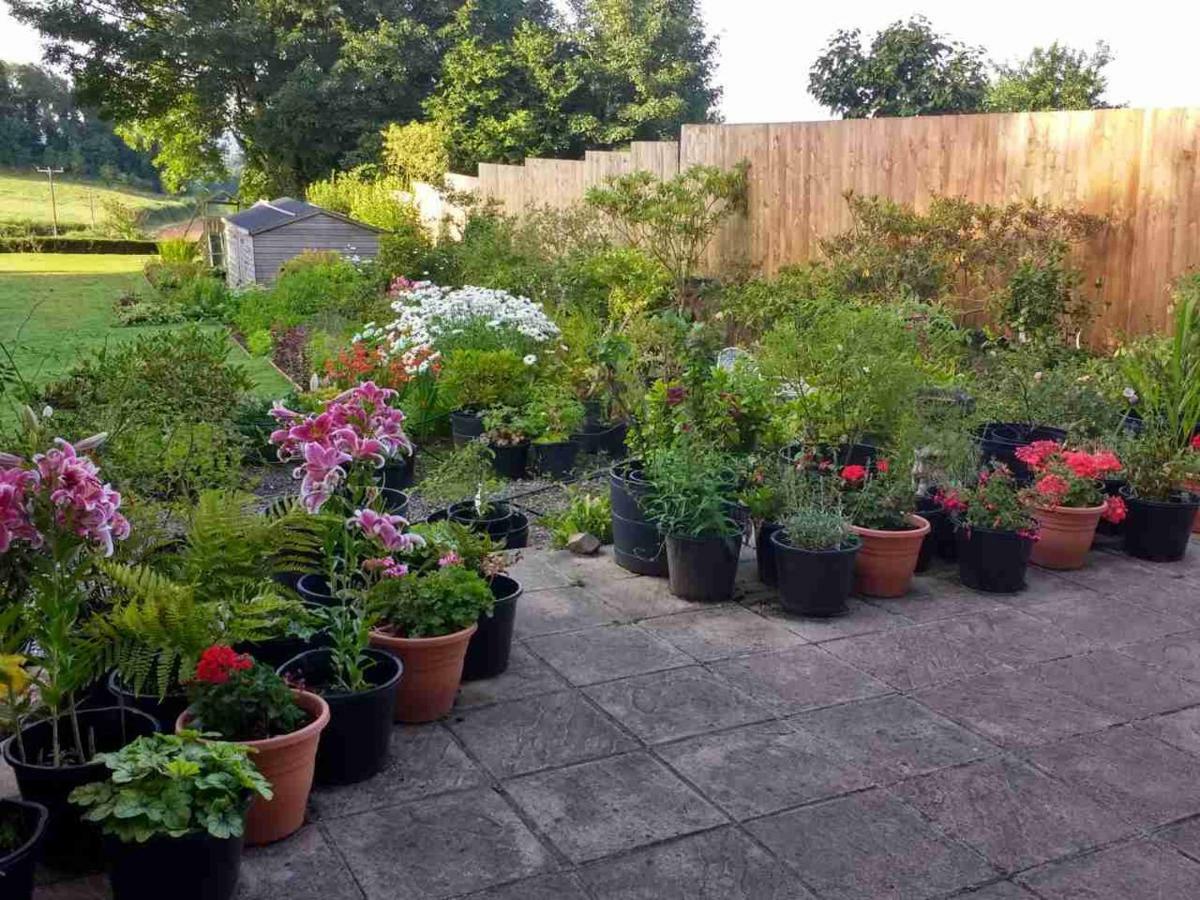 Brambles Bed And Breakfast Tiverton  Esterno foto