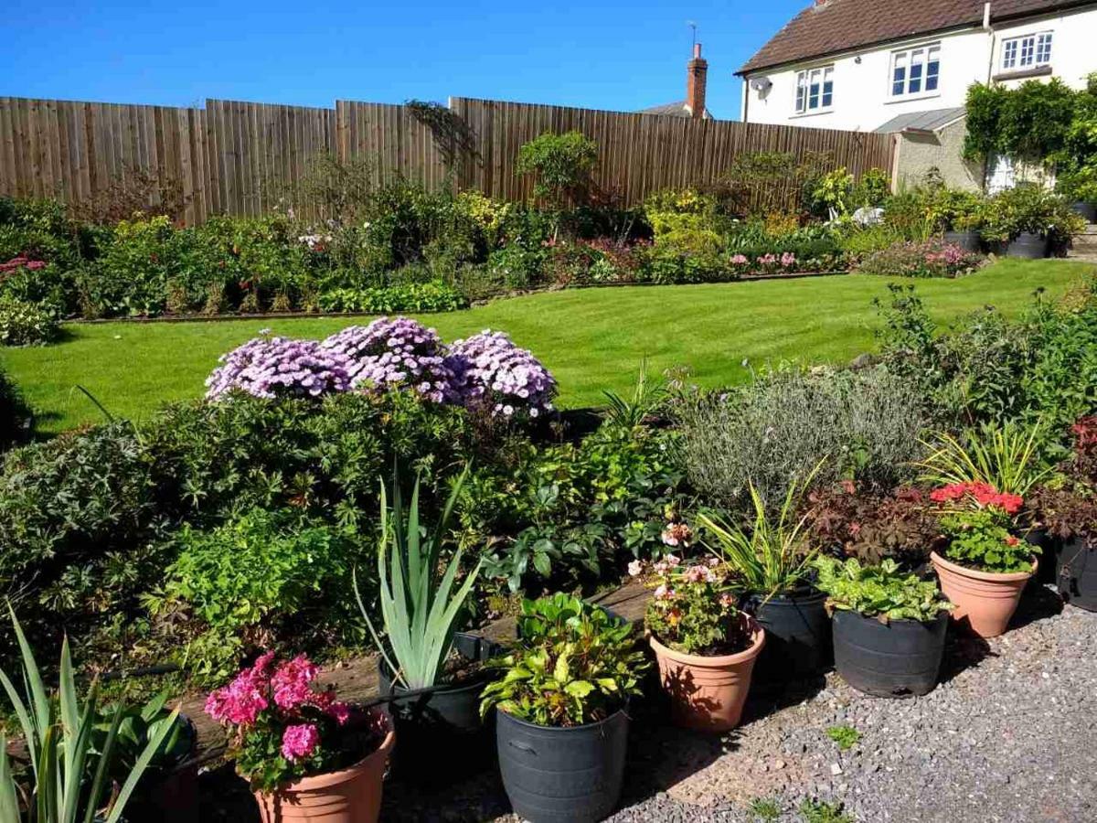Brambles Bed And Breakfast Tiverton  Esterno foto