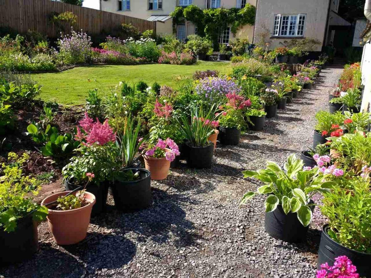 Brambles Bed And Breakfast Tiverton  Esterno foto